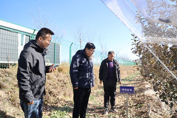 郑维国在丁户塬村产业园检查土壤墒情监测工作_副本.jpg